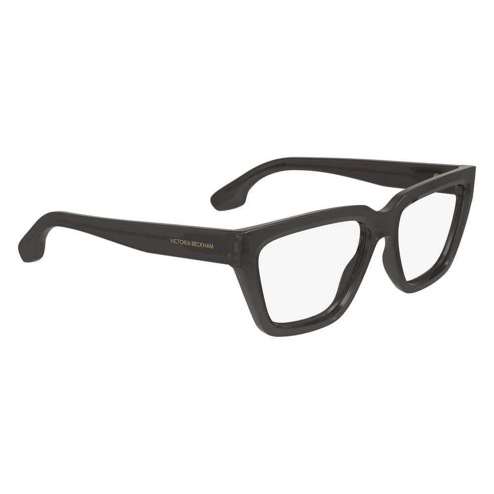 Victoria Beckham Gray Injected Glasses (Frames) - Image 3