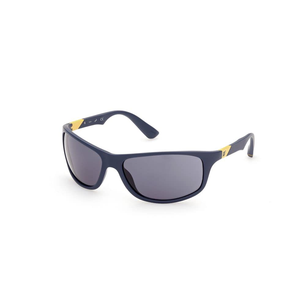 WEB EYEWEAR Blue Acetate Sunglasses
