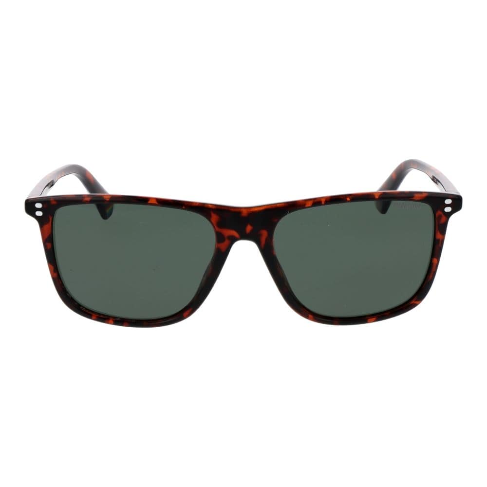Polaroid Brown Polycarbonate Sunglasses - Image 2