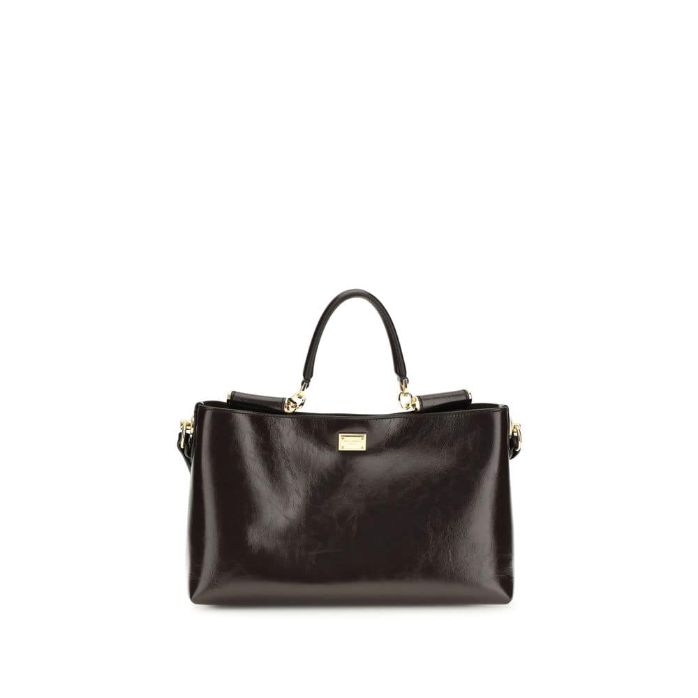 Dolce & Gabbana Brown Calf Leather Bos Taurus Handbag