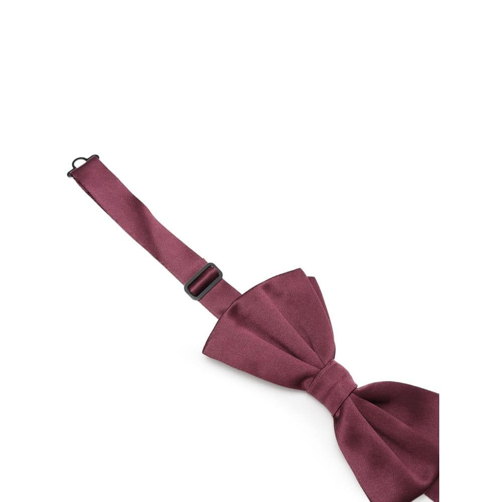 Dolce & Gabbana Bordeaux Silk Bowtie - Image 3