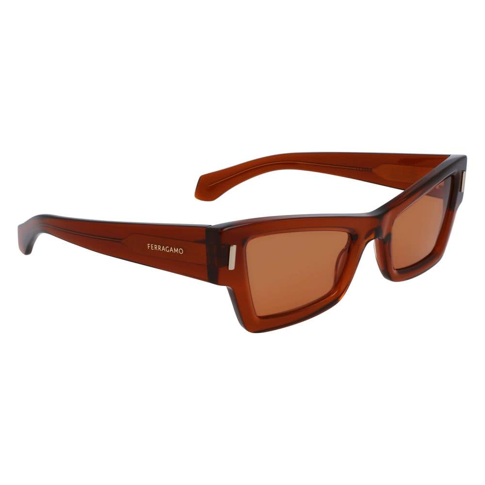 Ferragamo Brown Acetate Sunglasses - Image 3
