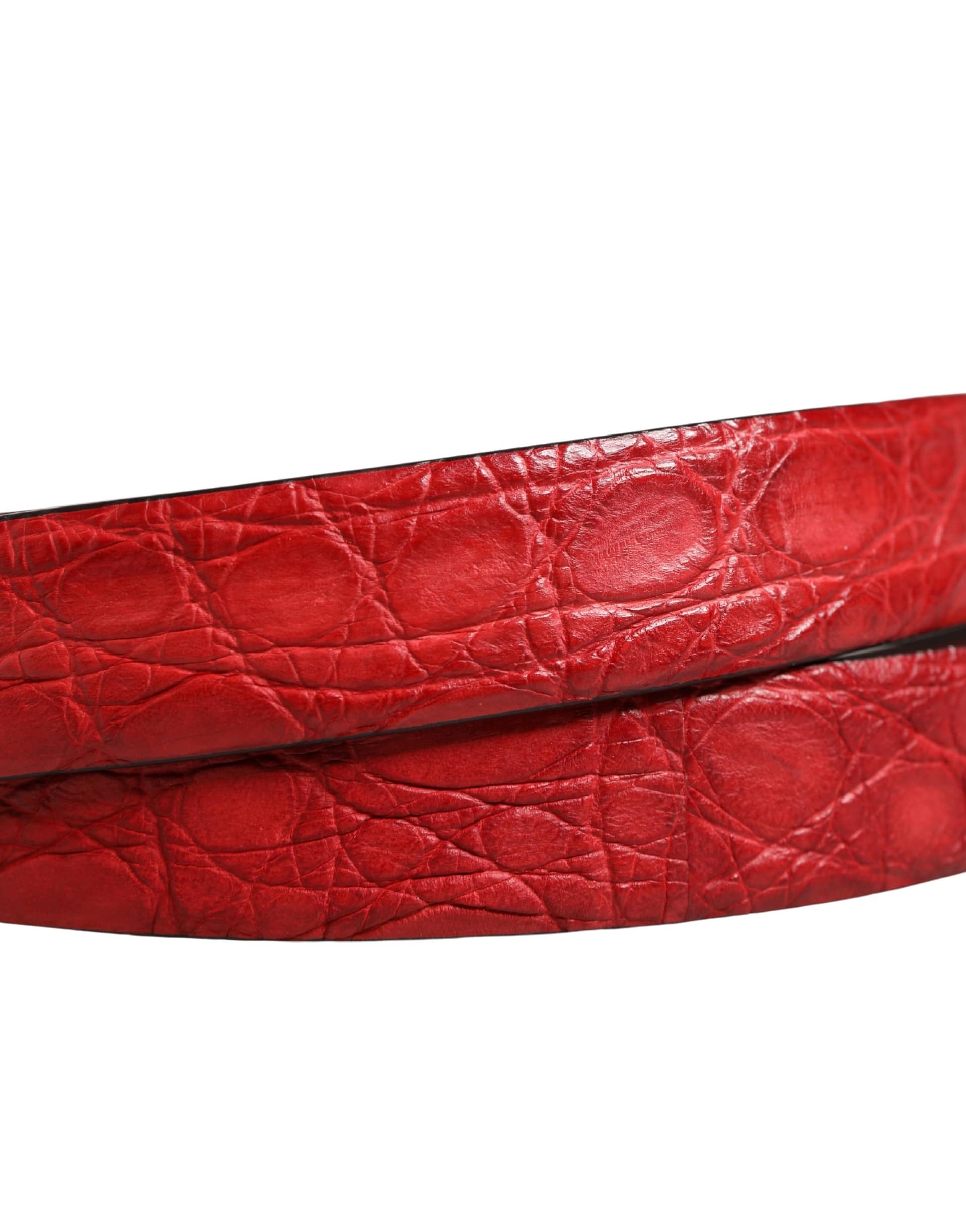 Dolce & Gabbana Men Red Exotic Leather Metal Buckle Belt - Image 5