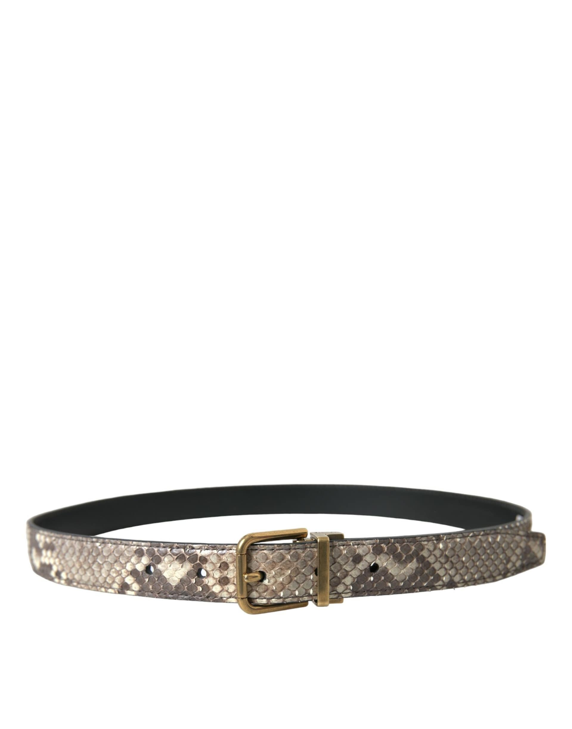 Dolce & Gabbana Brown Python Leather Gold Metal Buckle Belt - Image 2