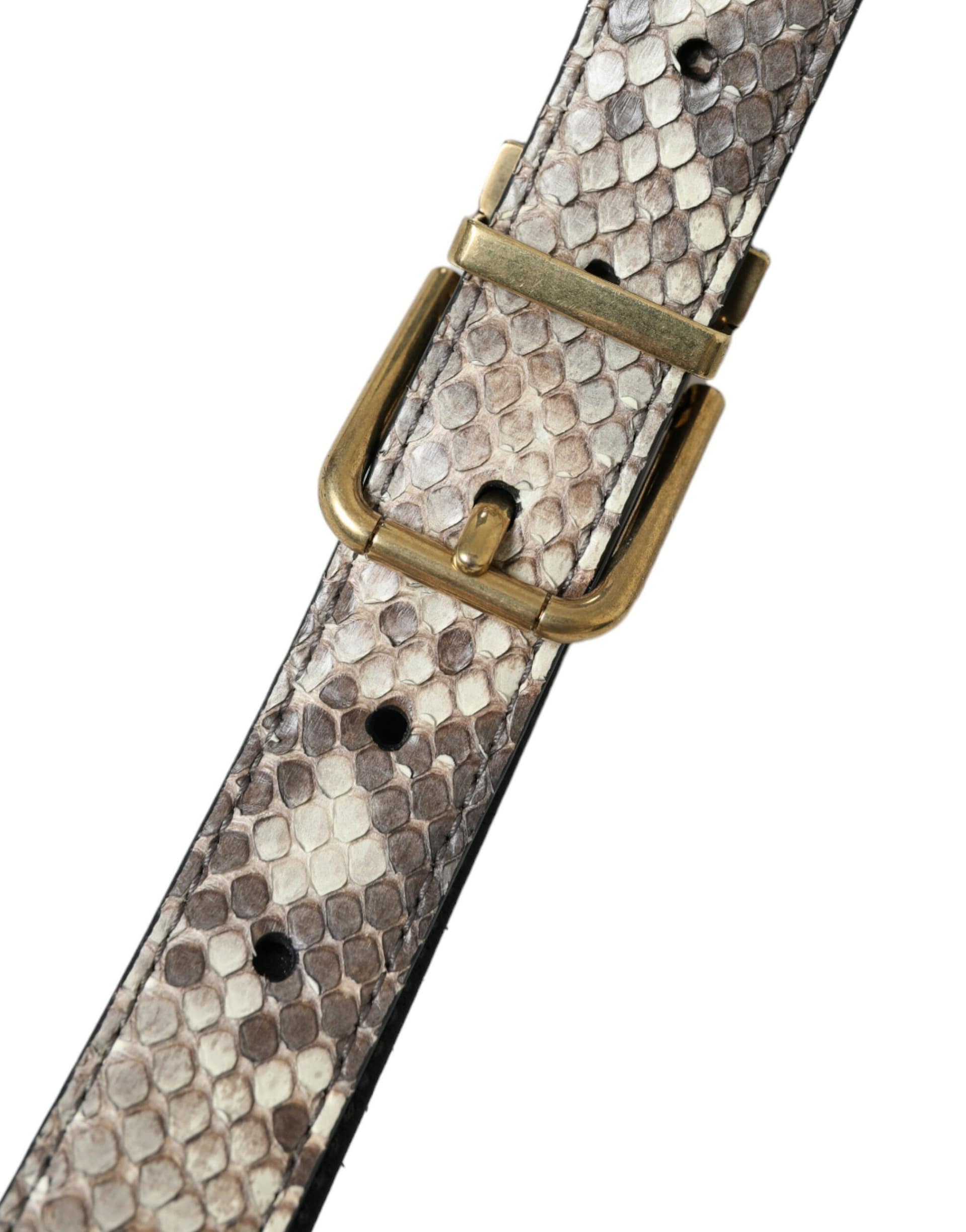 Dolce & Gabbana Brown Python Leather Gold Metal Buckle Belt - Image 3