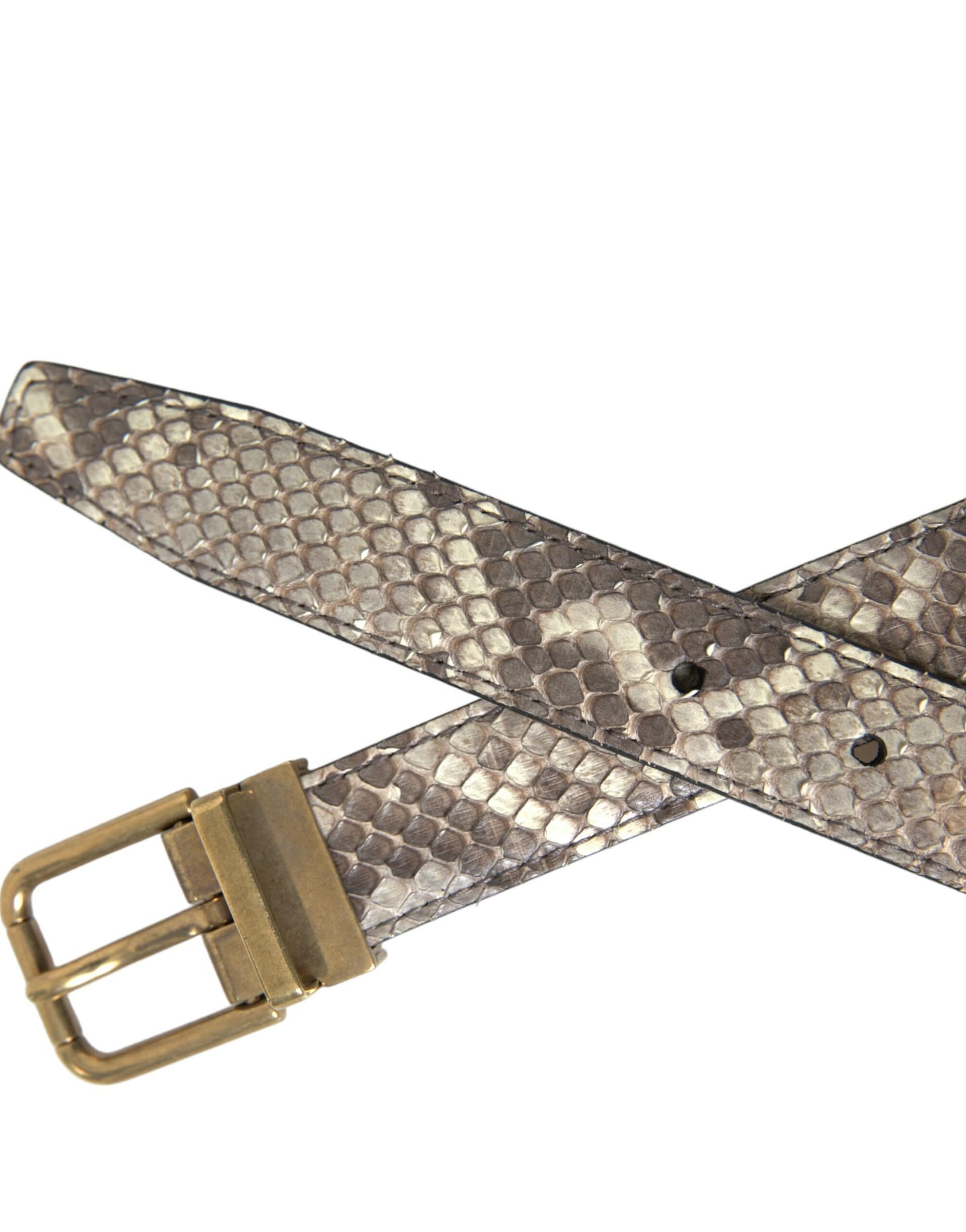 Dolce & Gabbana Brown Python Leather Gold Metal Buckle Belt - Image 4