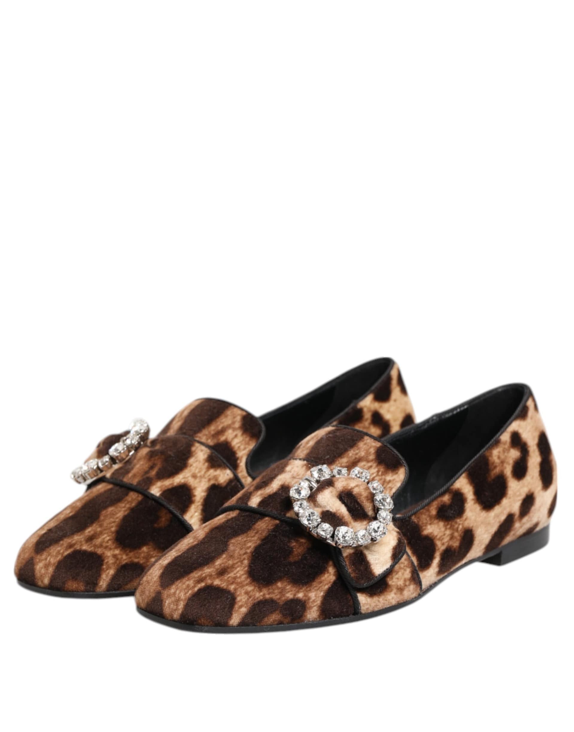 Dolce & Gabbana Brown Leopard Print Crystals Loafers Flats Shoes - Image 5