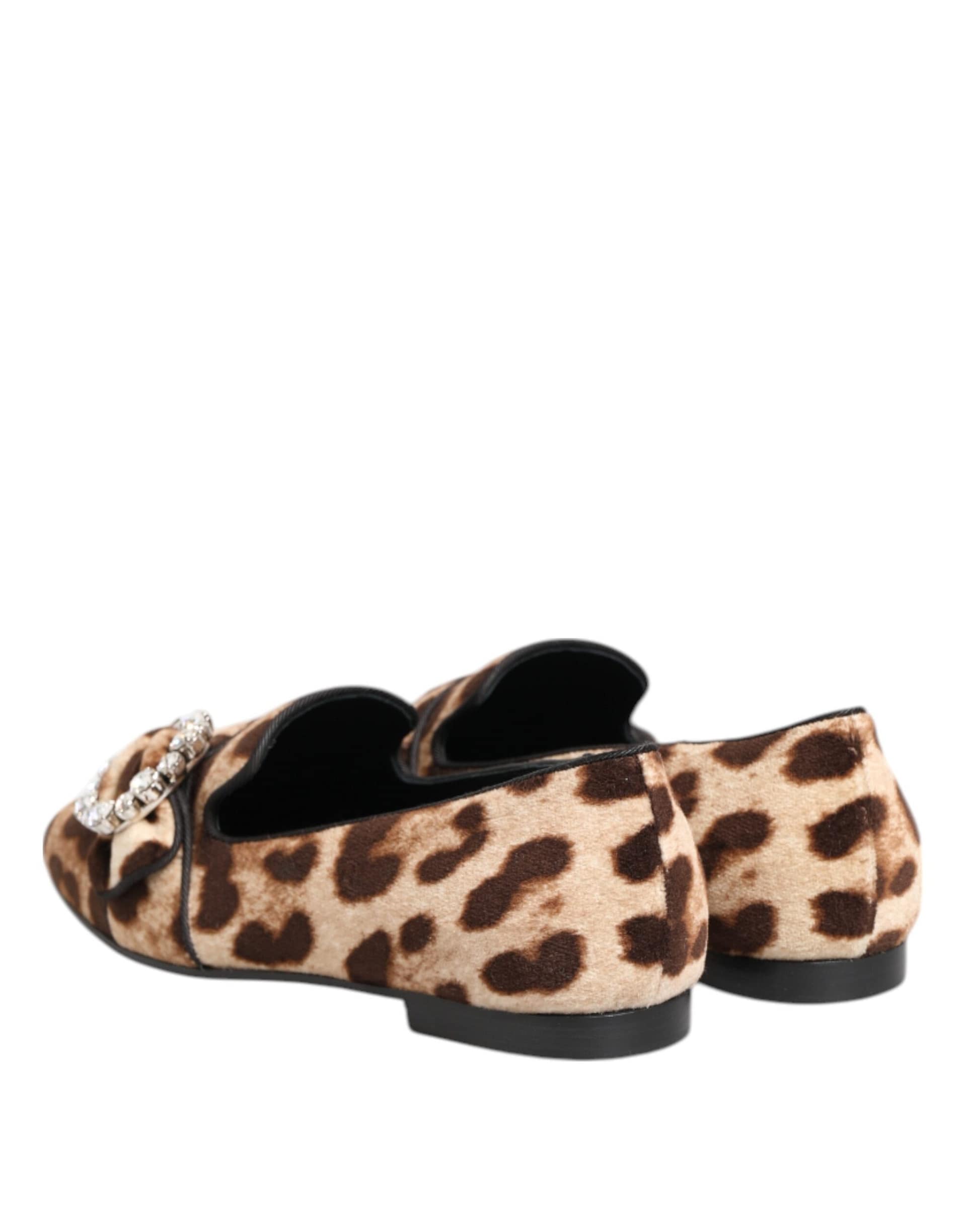 Dolce & Gabbana Brown Leopard Print Crystals Loafers Flats Shoes - Image 6