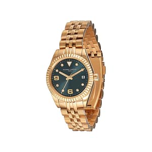 Pierre Cardin Gold Stainless Steel Dress Watch