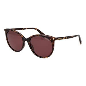 Polaroid Brown Polycarbonate Sunglasses