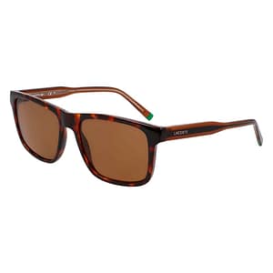 Lacoste Brown Injected Sunglasses