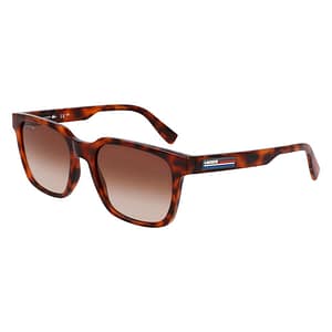 Lacoste Brown Injected Sunglasses