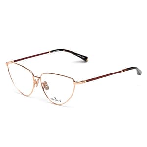 Belstaff Multicolor Titanium Glasses (Frames)