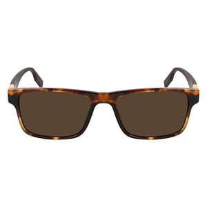 Converse Brown Acetate Sunglasses