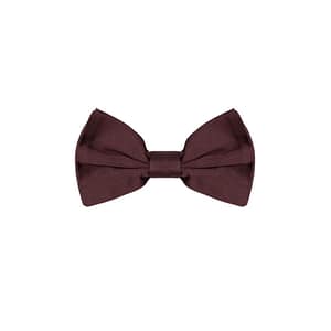 Dolce & Gabbana Burgundy Silk Bowtie