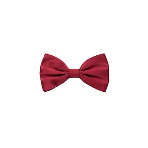 Dolce & Gabbana Red Silk Bowtie