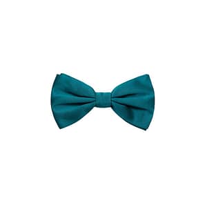 Dolce & Gabbana Green Silk Bowtie