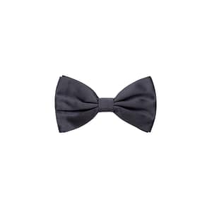Dolce & Gabbana Gray Silk Bowtie