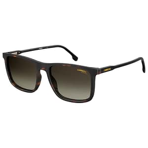 Carrera Brown Injected Sunglasses