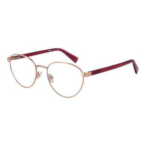Guess Rose Gold Metal Glasses (Frames)