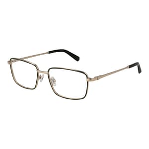 Guess Bicolor Metal Glasses (Frames)