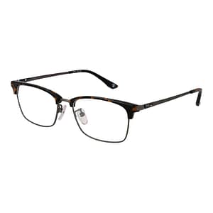 BMW Brown Titanium Glasses (Frames)