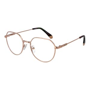 Polaroid Gold Metal Glasses (Frames)