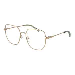 Polaroid Gold Metal Glasses (Frames)