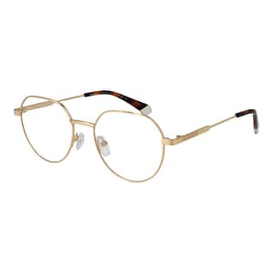 Polaroid Gold Metal Glasses (Frames)