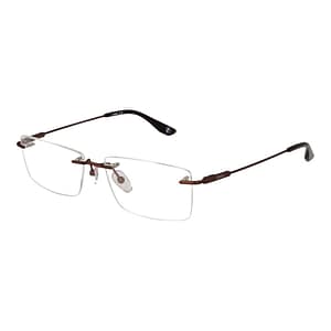 BMW Brown Titanium Glasses (Frames)