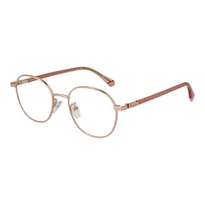 Polaroid Rose Gold Metal Glasses (Frames)