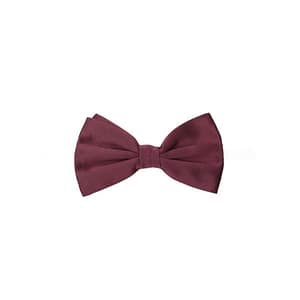 Dolce & Gabbana Bordeaux Silk Bowtie