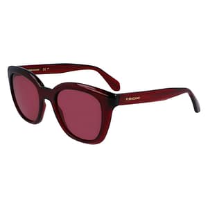 Ferragamo Multicolor Injected Sunglasses