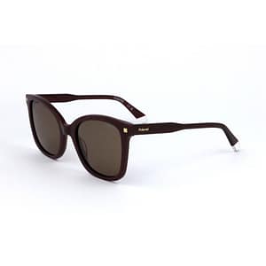 Polaroid Multicolor Acetate Sunglasses