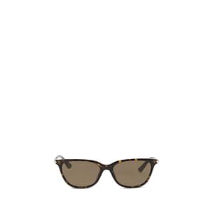Alexander McQueen Brown Acetate Sunglasses