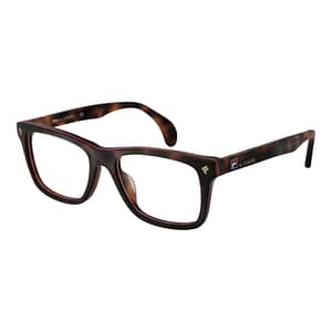 Lozza Brown Cellulose Acetate Glasses (Frames)