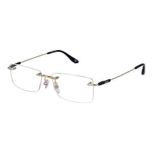 BMW Gold Titanium Glasses (Frames)