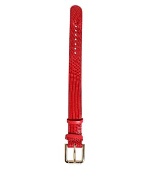 Dolce & Gabbana Red Exotic Leather Gold Tone Metal Buckle Women Armband